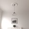 Ekena Millwork Carlsbad Ceiling Medallion (Fits Canopies up to 14 1/4"), 19 1/2"OD x 1 3/4"P, Primed White CM19CA - alternate 5